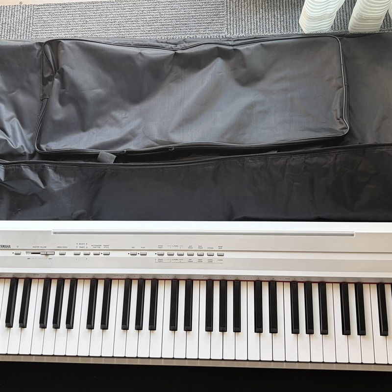 YAMAHA P-105の画像